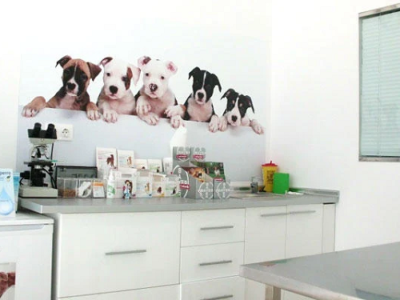 Gallarza Centro Veterinario (Logroño)