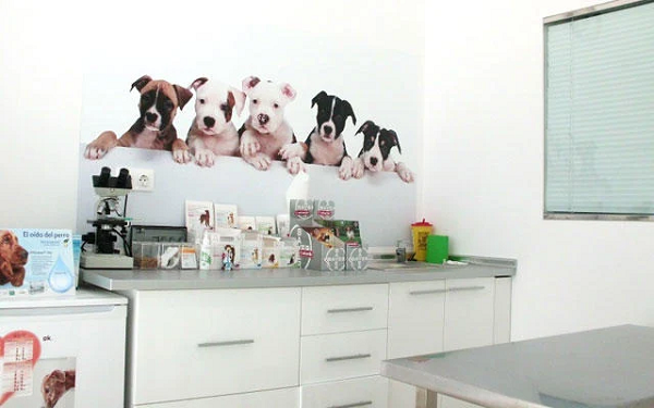 Gallarza Centro Veterinario (Logroño)