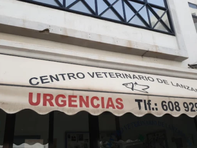 Centro Veterinario Lanzarote - Arrecife (Las Palmas)
