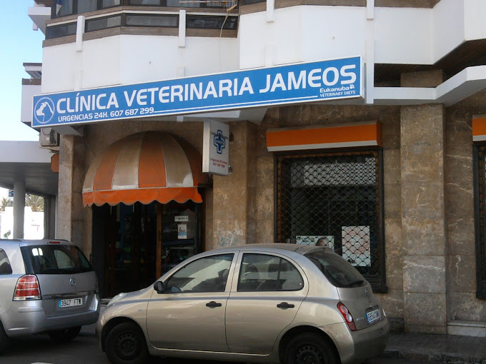 Clínica Veterinaria Jameos - Arrecife (Las Palmas)