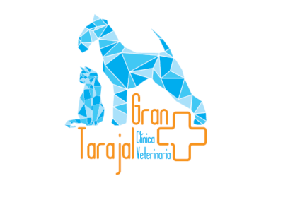 Centro Veterinario Gran Tarajal - Tuineje (Las Palmas)