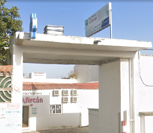 Clínica Veterinaria Afircán - Firgas (Las Palmas)
