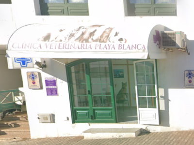 Clínica Veterinaria Playa Blanca - Yaiza (Las Palmas)