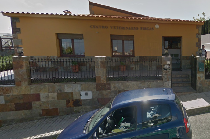Clínica veterinaria Firgas - Firgas (Las Palmas)