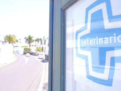 Veterinaria El Norte - Haría (Las Palmas)