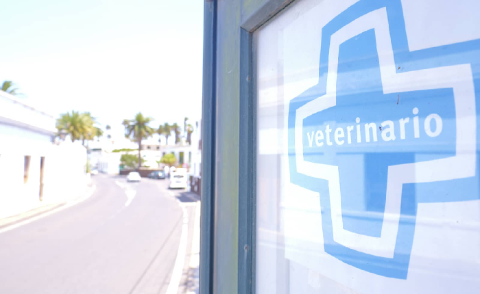 Veterinaria El Norte - Haría (Las Palmas)