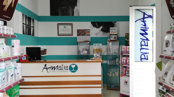 Animalia Centro Veterinario - Las Palmas de Gran Canaria (Las Palmas)