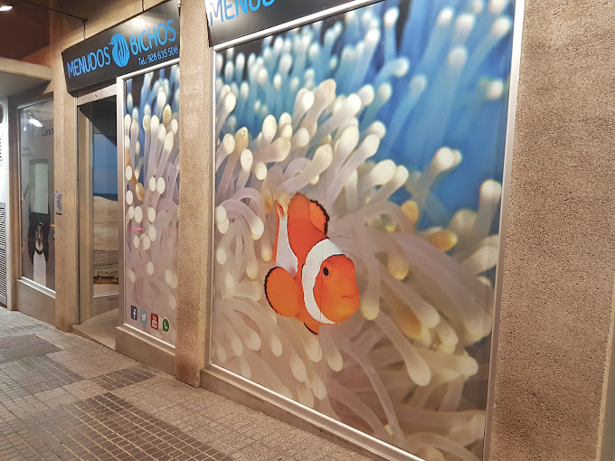 Menudos Bichos - Las Palmas de Gran Canaria (Las Palmas)