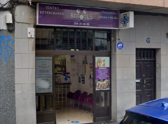 Centro Veterinario Bigotes - Las Palmas de Gran Canaria (Las Palmas)