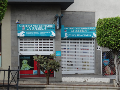 Centro Veterinario La Rambla 7 Palmas - Las Palmas de Gran Canaria (Las Palmas)