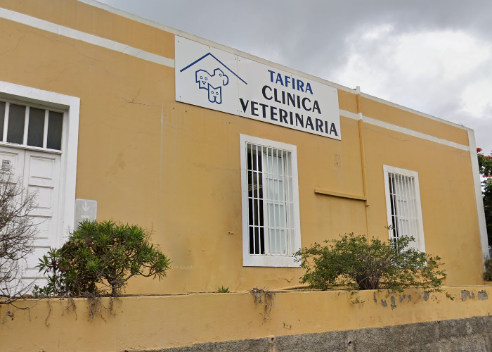 Centro Veterinario Sixto Henríquez | Tarifa - Las Palmas de Gran Canaria (Las Palmas)