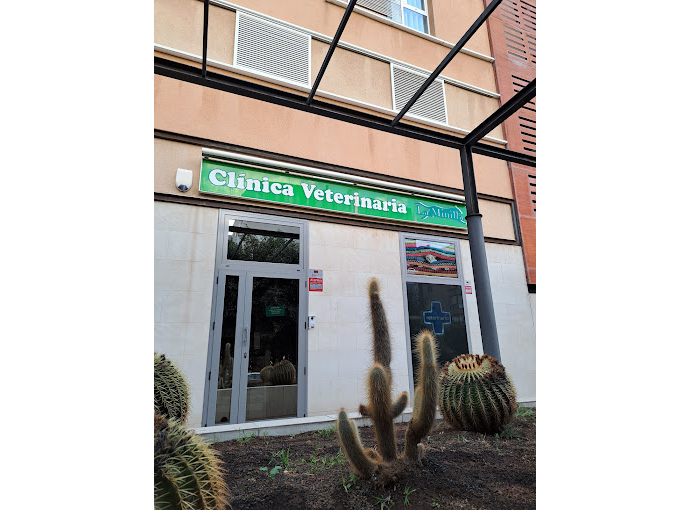 Clínica Veterinaria La Minilla - Las Palmas de Gran Canaria (Las Palmas)