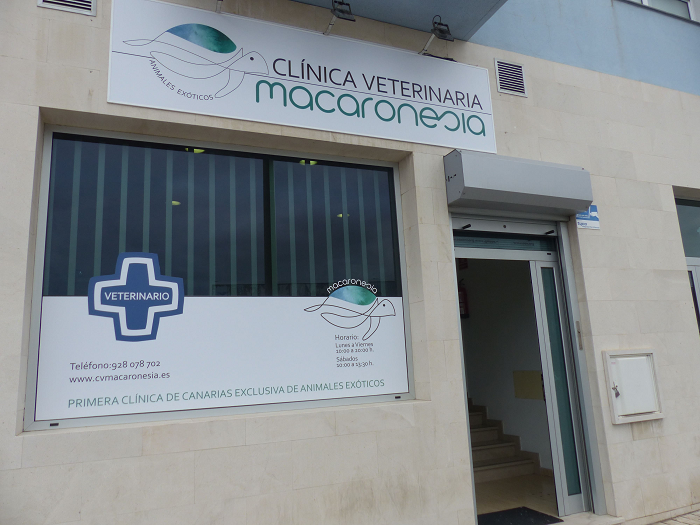 Clínica Veterinaria Macaronesia - Las Palmas de Gran Canaria (Las Palmas)