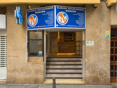 Clínica Veterinaria Monzón - Las Palmas de Gran Canaria (Las Palmas)