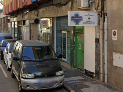 Clínica Veterinaria Paco - Las Palmas de Gran Canaria (Las Palmas)