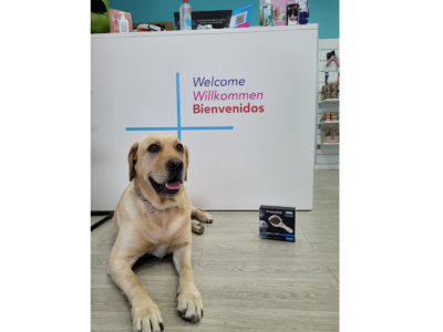 Clínica Veterinaria Proxem - Las Palmas de Gran Canaria (Las Palmas)
