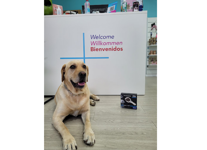 Clínica Veterinaria Proxem - Las Palmas de Gran Canaria (Las Palmas)