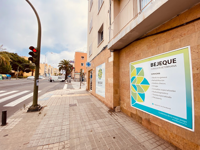 Consulta Veterinaria Bejeque - Las Palmas de Gran Canaria (Las Palmas)
