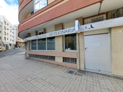Consulta Veterinaria Equilibrio - Las Palmas de Gran Canaria (Las Palmas)