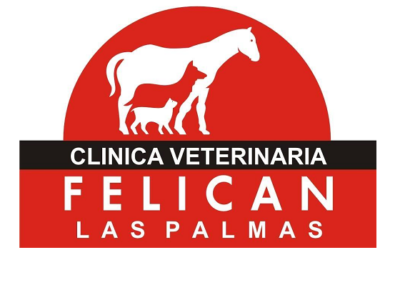 Felican - Las Palmas de Gran Canaria (Las Palmas)