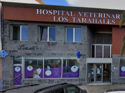Hospital Veterinario Los Tarahales - Las Palmas de Gran Canaria (Las Palmas)
