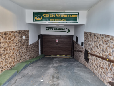Centro Veterinario San Bartolomé - San Bartolomé, Lanzarote (Las Palmas)