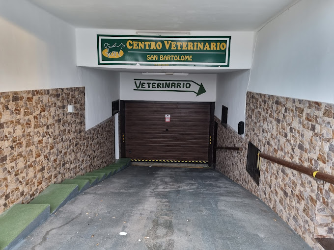 Centro Veterinario San Bartolomé - San Bartolomé, Lanzarote (Las Palmas)