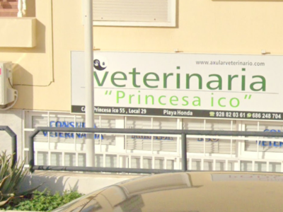 Consulta Veterinaria Princesa Ico - San Bartolomé, Lanzarote (Las Palmas)