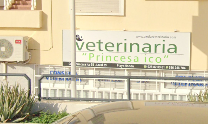 Consulta Veterinaria Princesa Ico - San Bartolomé, Lanzarote (Las Palmas)