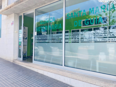 Clínica Veterinaria Santa María de Guía - Santa María de Guía de Gran Canaria (Las Palmas)