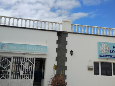 Consulta Veterinaria Los Charcos - Teguise (Las Palmas)