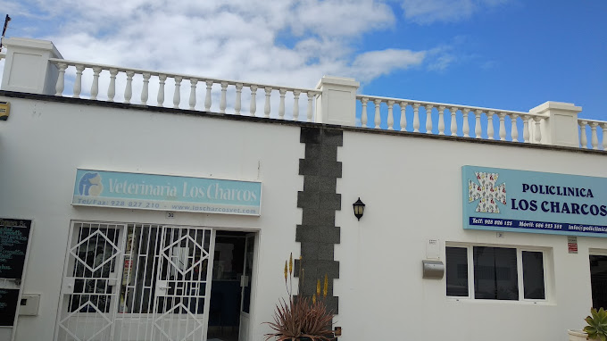 Consulta Veterinaria Los Charcos - Teguise (Las Palmas)