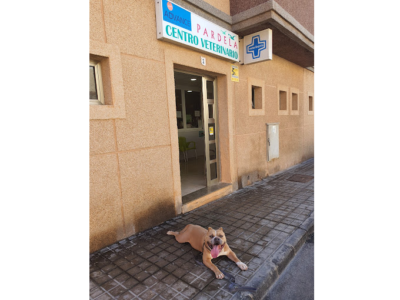 Centro Veterinario Pardela - Telde (Las Palmas)