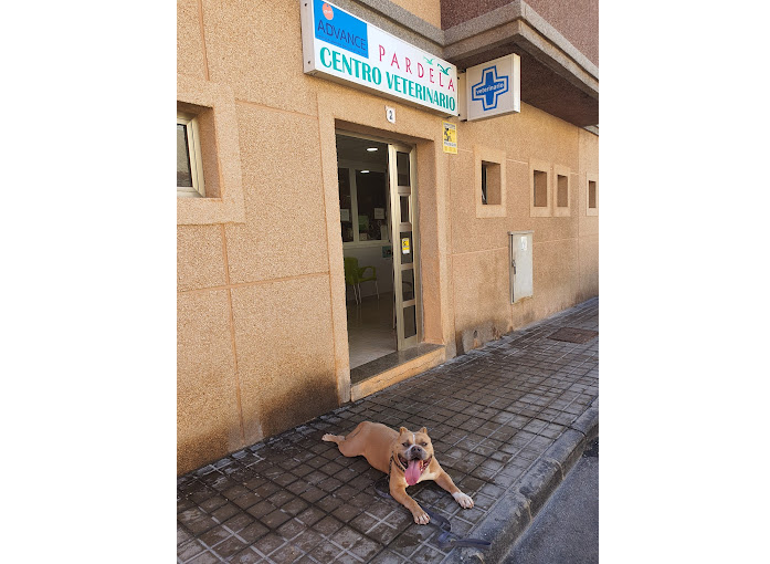 Centro Veterinario Pardela - Telde (Las Palmas)