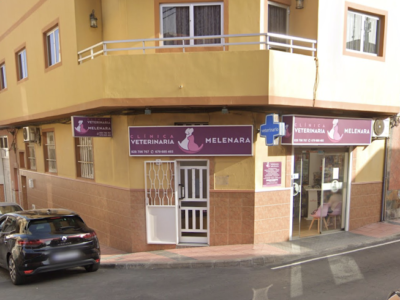 Clínica Veterinaria Cruce de Melenara - Telde (Las Palmas)