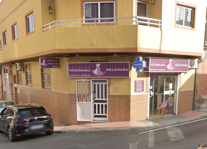 Clínica Veterinaria Cruce de Melenara - Telde (Las Palmas)