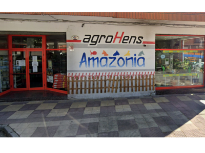 Amazonía (Bembibre)