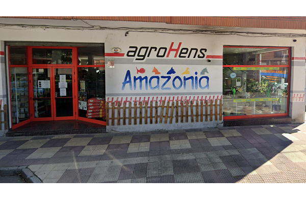 Amazonía (Bembibre)