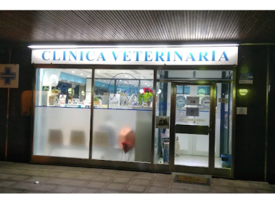 Veterinario en León | Clínica Veterinaria Ricardo Diez (León)