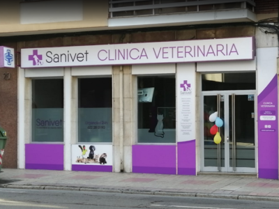 Clínica Veterinaria Sanivet (León)
