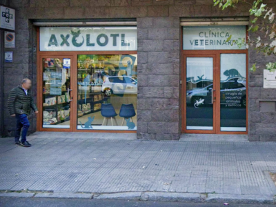 Clínica Veterinaria Axolotl (León)