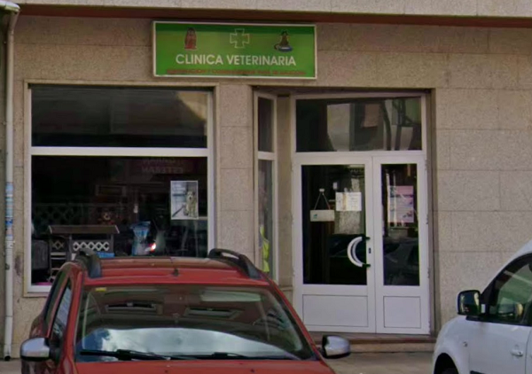 Clínica Veterinaria Camino (Cistierna)