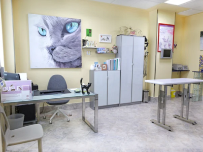 Clínica veterinaria Trepalio (Trobajo del Camino)