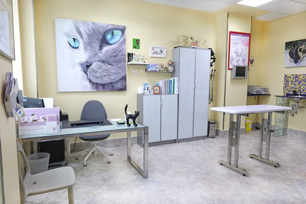 Clínica veterinaria Trepalio (Trobajo del Camino)