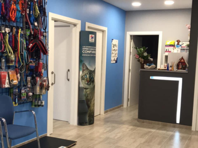 Clínica Veterinaria Animalejos (Villablino)