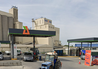 Veterinari bonÀrea (Lleida)