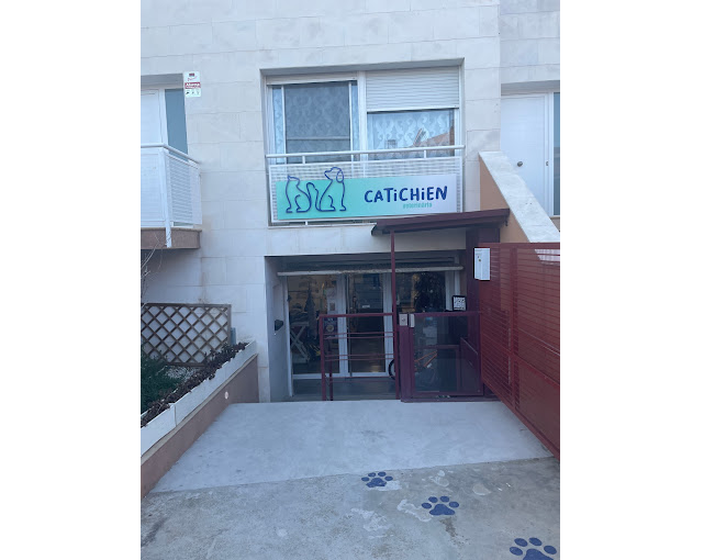 Catichien Veterinaria (Torregrossa)