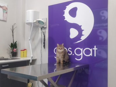 Centre Veterinari Gospuntgat (Lleida)