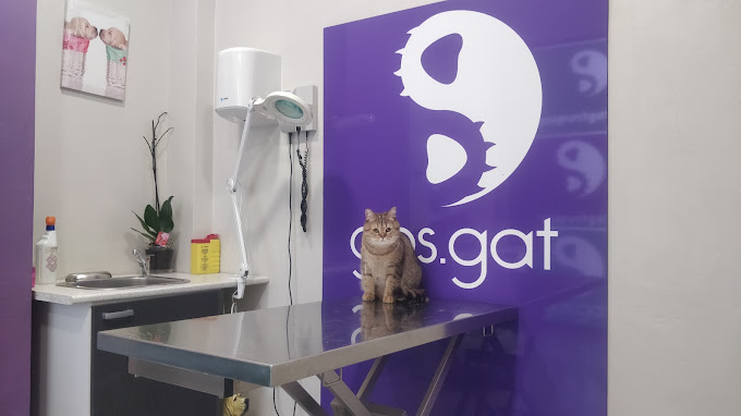 Centre Veterinari Gospuntgat (Lleida)