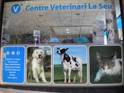 Centre Veterinari La Seu (La Seu d'Urgell)